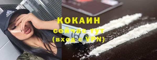 сатива Волосово