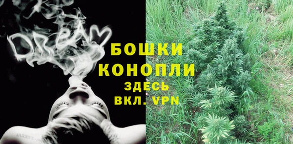 сатива Волосово