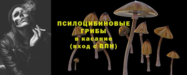 сатива Волосово