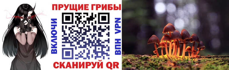 наркошоп  Ирбит  Псилоцибиновые грибы Psilocybe 